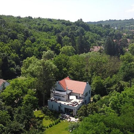 Villa Viridis Buekkalja Borsodgeszt Zewnętrze zdjęcie