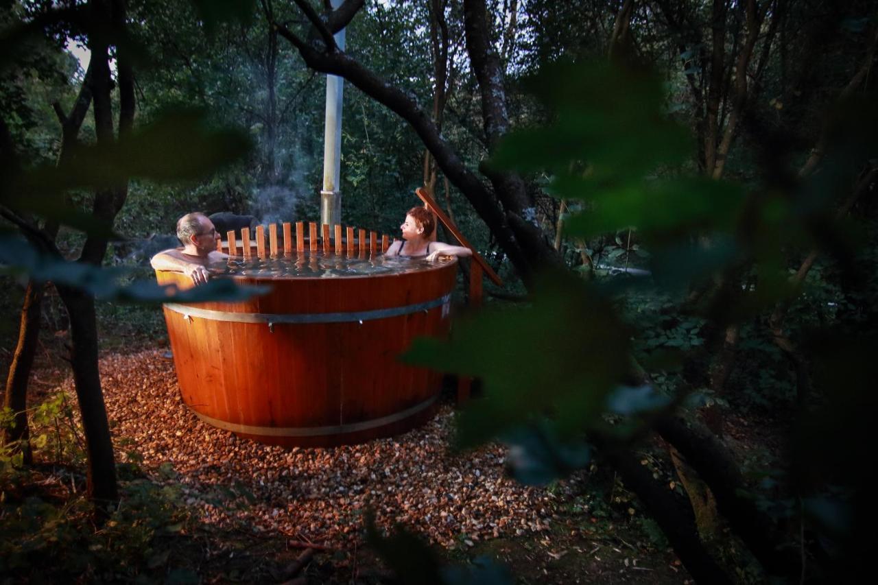 Villa Viridis Buekkalja Borsodgeszt Zewnętrze zdjęcie
