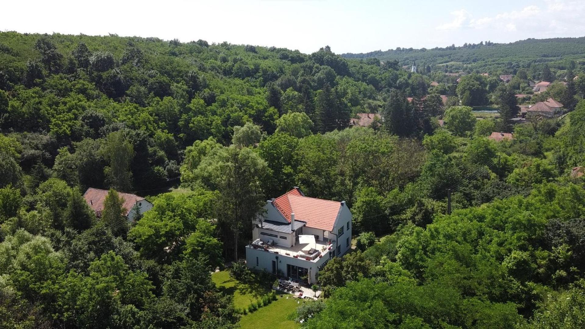 Villa Viridis Buekkalja Borsodgeszt Zewnętrze zdjęcie